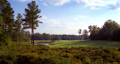 Hunting_Hawk_16_for_Book_Article