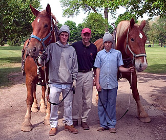 albanese-horse-family